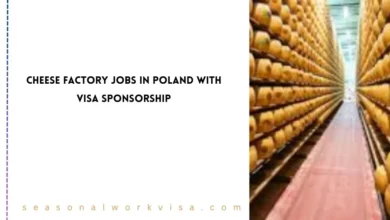 Cheese Factory Jobs in Poland