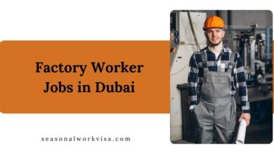 Factory Worker Jobs in Dubai