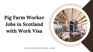 Pig Farm Worker Jobs in Scotland with Work Visa