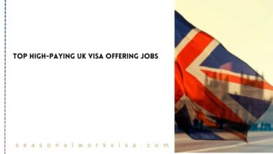 Top High-Paying UK Visa Offering Jobs