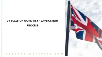 UK Scale-Up Work Visa