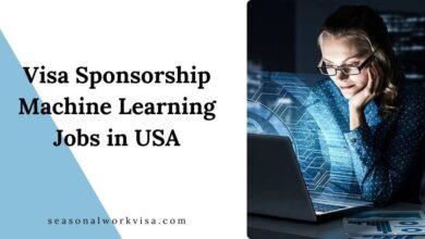Visa Sponsorship Machine Learning Jobs in USA