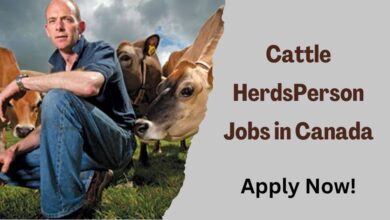 Cattle HerdsPerson Jobs in Canada