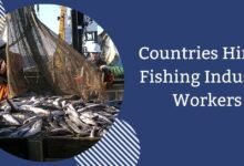 Countries Hiring Fishing Industry Workers