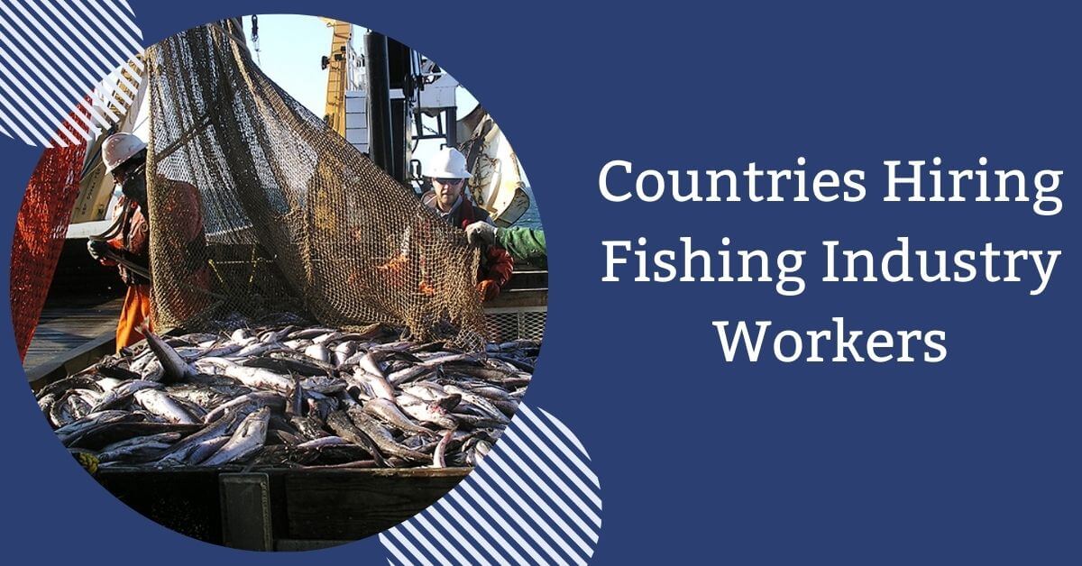 Countries Hiring Fishing Industry Workers 2026 - Apply Now