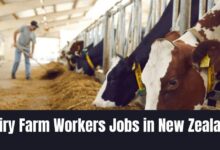 Dairy Farm Workers Jobs in New Zealand
