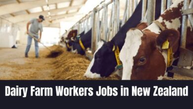 Dairy Farm Workers Jobs in New Zealand