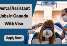 Dental Assistant Jobs in Canada With Visa
