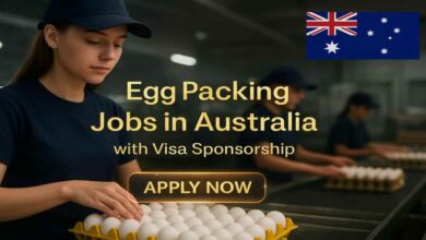 Egg Packing Jobs in Australia with Visa Sponsorship