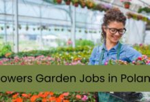 Flowers Garden Jobs in Poland