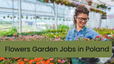 Flowers Garden Jobs in Poland