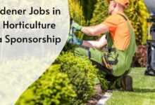 Gardener Jobs in UK Horticulture Visa Sponsorship
