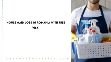 Housemaid Jobs in Romania
