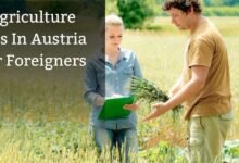 Agriculture Jobs In Austria For Foreigners