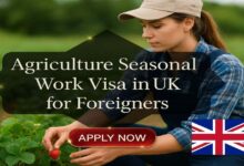 Agriculture Seasonal Work Visa in UK for Foreigners