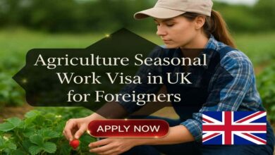 Agriculture Seasonal Work Visa in UK for Foreigners