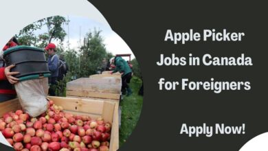 Apple Picker Jobs in Canada for Foreigners