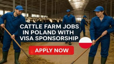 Cattle Farm Jobs in Poland with Visa Sponsorship