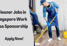 Cleaner Jobs in Singapore Work Visa Sponsorship