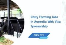 Dairy Farming Jobs in Australia