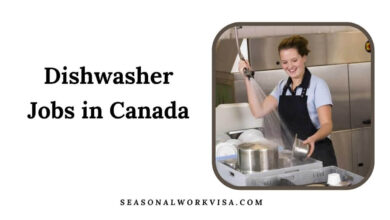 Dishwasher Jobs in Canada