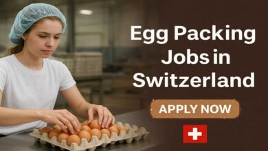 Egg Packing Jobs in Switzerland