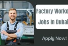 Factory Worker Jobs In Dubai
