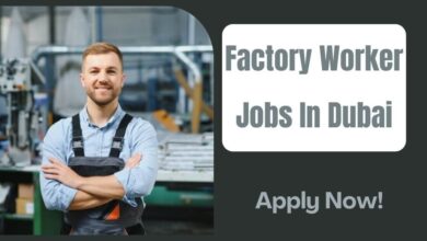 Factory Worker Jobs In Dubai