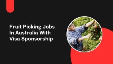 Fruit Picking Jobs In Australia