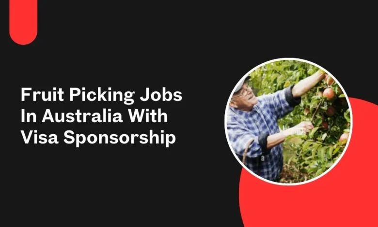 Fruit Picking Jobs In Australia
