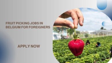Fruit Picking Jobs in Belgium for Foreigners