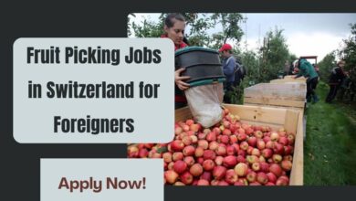 Fruit Picking Jobs in Switzerland for Foreigners