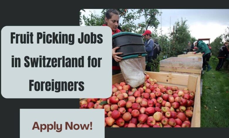 Fruit Picking Jobs in Switzerland for Foreigners
