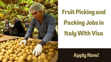 Fruit Picking and Packing Jobs in Italy With Visa