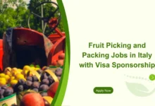 Fruit Picking and Packing Jobs in Italy