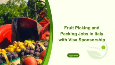 Fruit Picking and Packing Jobs in Italy