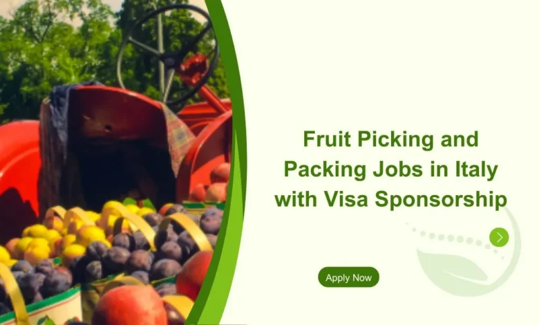 Fruit Picking and Packing Jobs in Italy