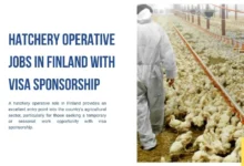 Hatchery Operative Jobs in Finland