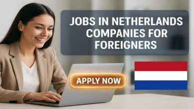 Jobs in Netherlands Companies for Foreigners