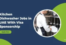 Kitchen Dishwasher Jobs in UAE