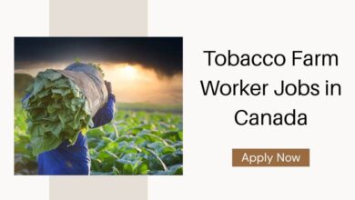 Tobacco Farm Worker Jobs in Canada