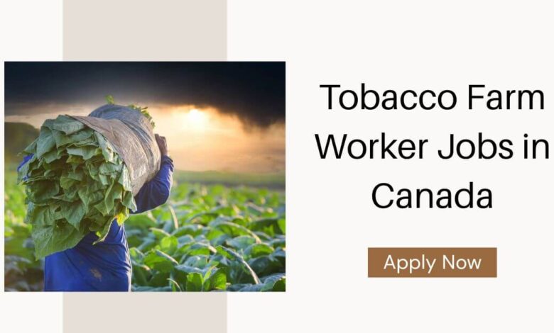 Tobacco Farm Worker Jobs in Canada