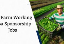 UK Farm Working Visa Sponsorship Jobs