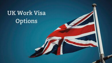 UK Work Visa Options