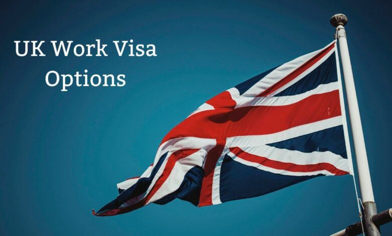 UK Work Visa Options