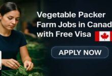 Vegetable Packer Farm Jobs in Canada with Free Visa