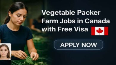 Vegetable Packer Farm Jobs in Canada with Free Visa