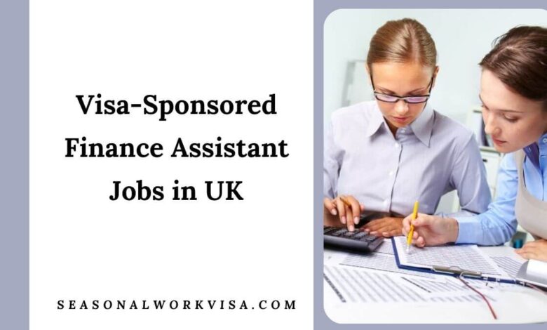 Visa-Sponsored Finance Assistant Jobs in UK
