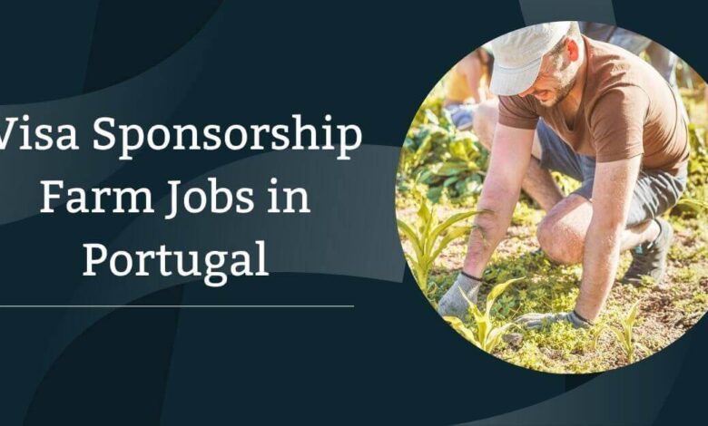 Visa Sponsorship Farm Jobs in Portugal
