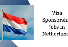 Visa Sponsorship Jobs in Netherlands